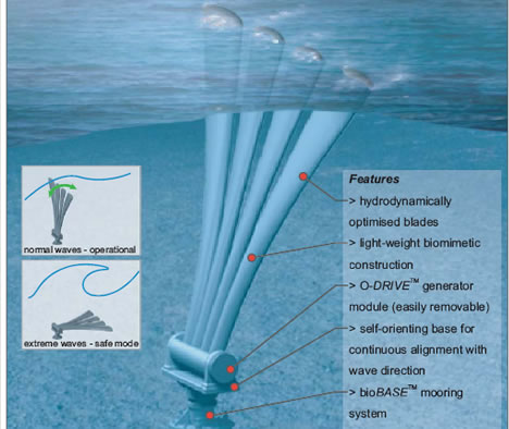 BioStream Using Natures Influence 07 03 15%20Biostream%20Fin%201 BioStream Using Natures Influence
