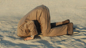 head_in_sand